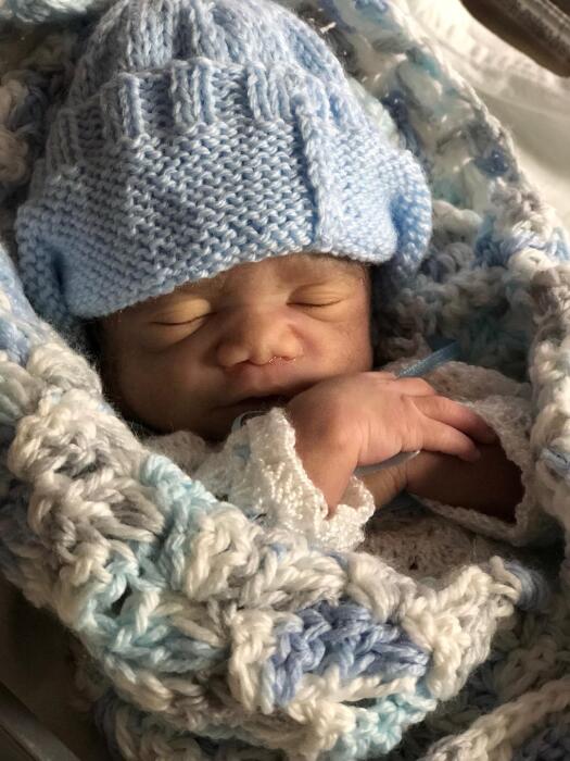 ezra david roy robinson